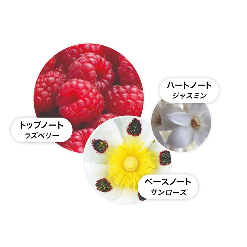 ジャスミン＆サンローズ ボディローション 300 ml