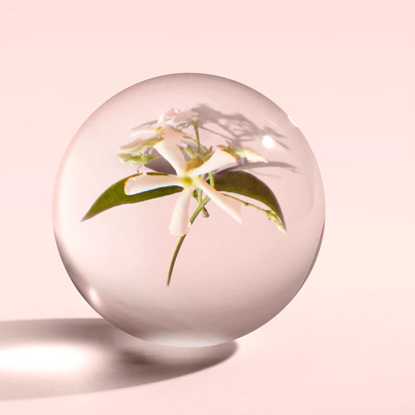 ジャスミン＆サンローズ ボディローション 300 ml