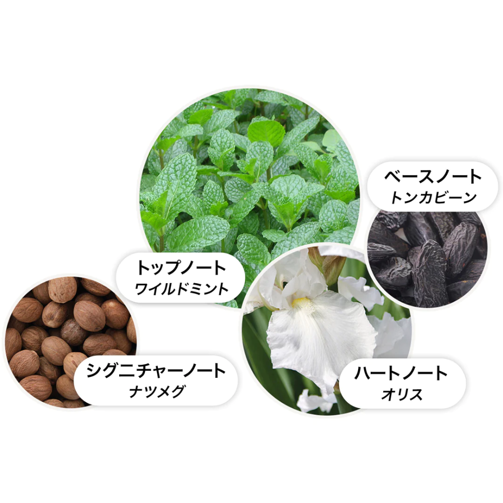 【LEON.jp 1月Web掲載】ワイルドミント&ラバンジン オードパルファン 100 ml