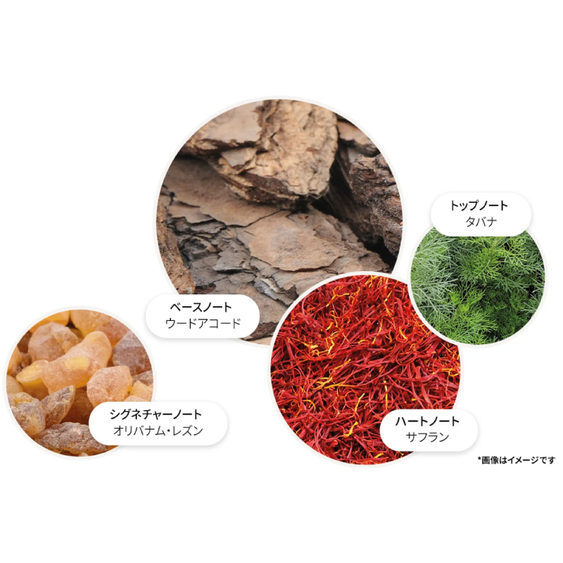 【数量限定デザイン】ウード・アコード＆ゴールド オードパルファン 100ml